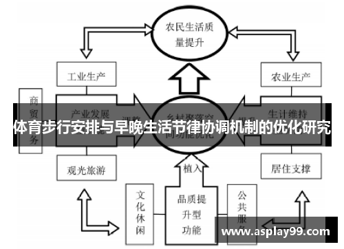 体育步行安排与早晚生活节律协调机制的优化研究