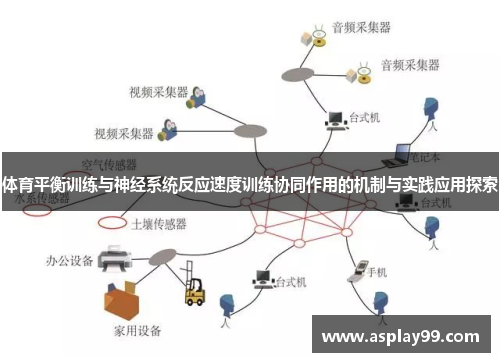 体育平衡训练与神经系统反应速度训练协同作用的机制与实践应用探索